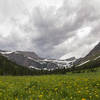 Flower meadow before Medicine Grizzly Lake.