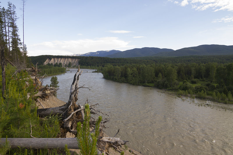 View of the North Fork Flathead River joining the Middle Fork with Blankenship Bridge in the background along the Old Flathead Ranger Station Trail.