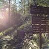 Trail signs at the Chilnualna Falls Trailhead.