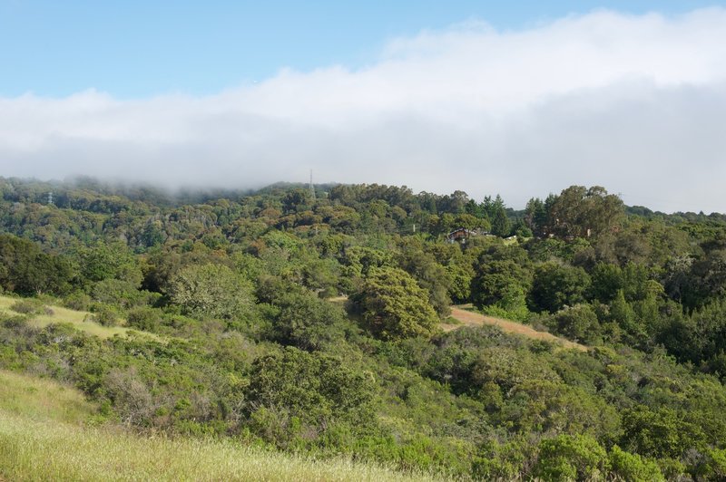 In the evening, fog and clouds roll into the preserve over the hills.