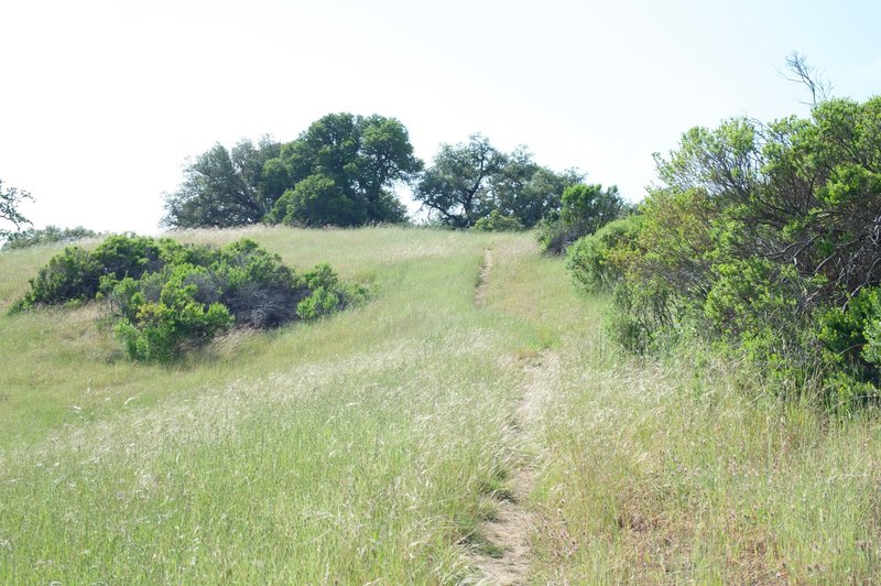 The trail makes its way uphill as it moves toward Foothills Park.