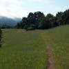 The trail makes its way through the fields along a narrow dirt track.