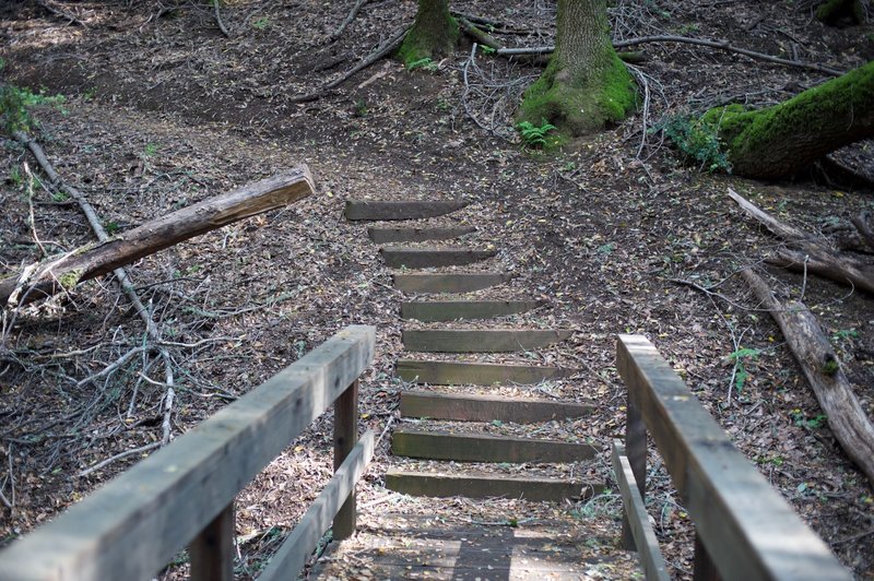 The trail descends some steps and crosses over the creek via a small, wooden bridge.