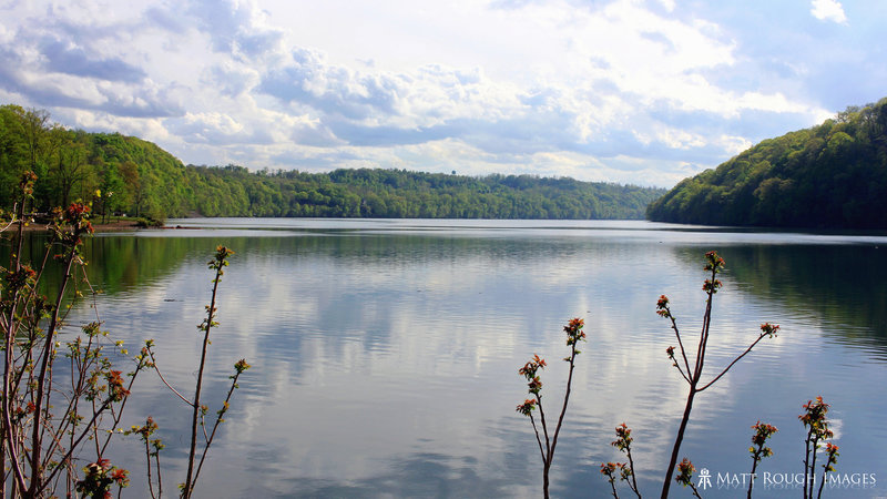 A view of Cheat Lake from the trail.