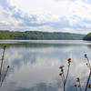 A view of Cheat Lake from the trail.