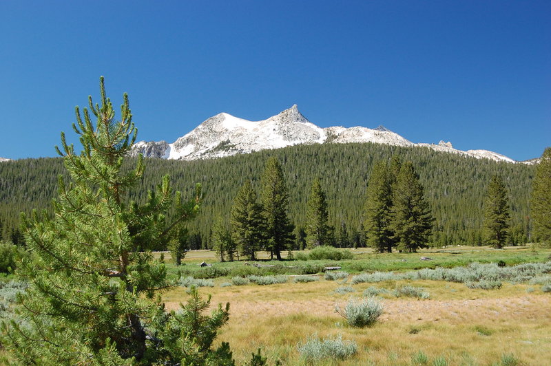 Looking across the meadow at distant peaks.