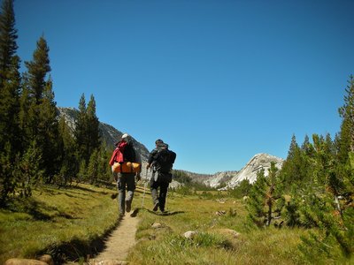 On the road again - Vogelsang Trail.
