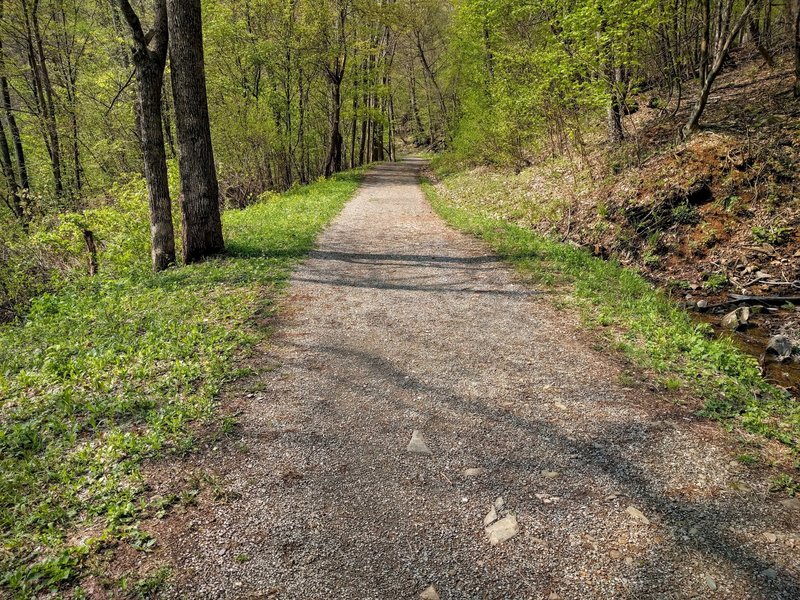 A section of the Rose River Fire Road.