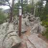 The ridge as you top out on Black Bear Trail.