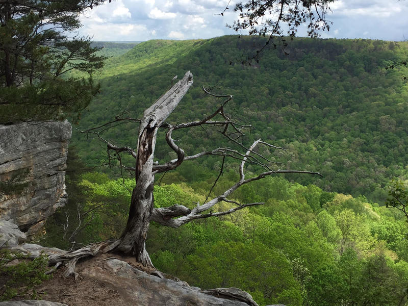 Second overlook.