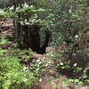 The Stone Staircase to Stone Door with some April wildflowers.