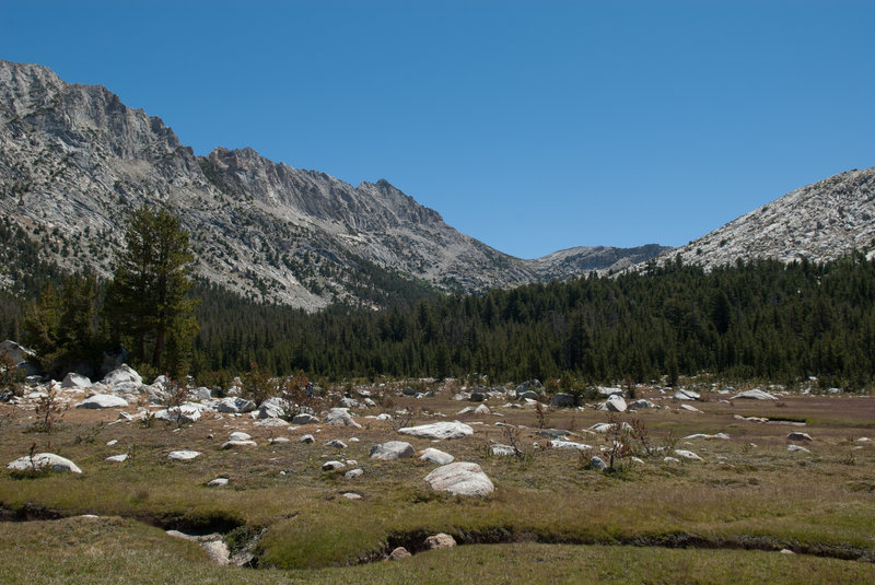 Granite boulders in the meadows.