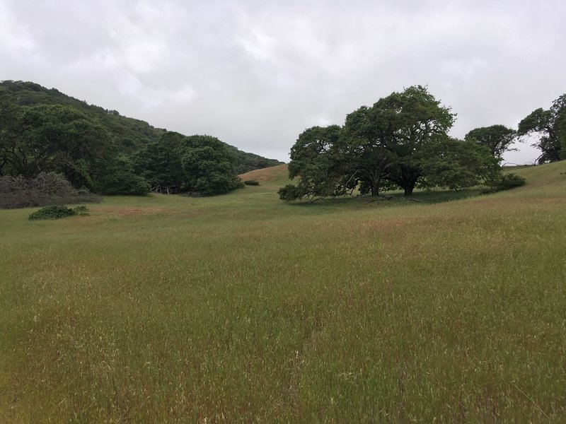 The main field of Hayfields Trail.