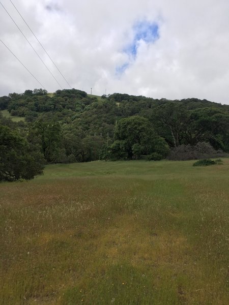 This is a shot of the trail on the way back. Note that the trail is very hard to see, but the powerlines are good indicators of which direction to go.