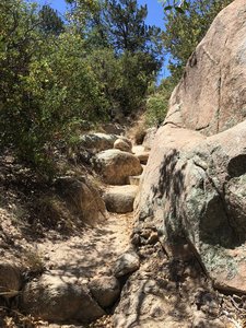 Trail continuing through a boulder field.