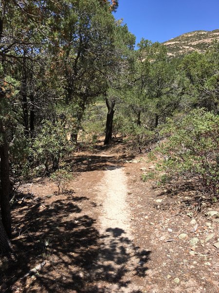 View looking west along Heartbreak Ridge Trail