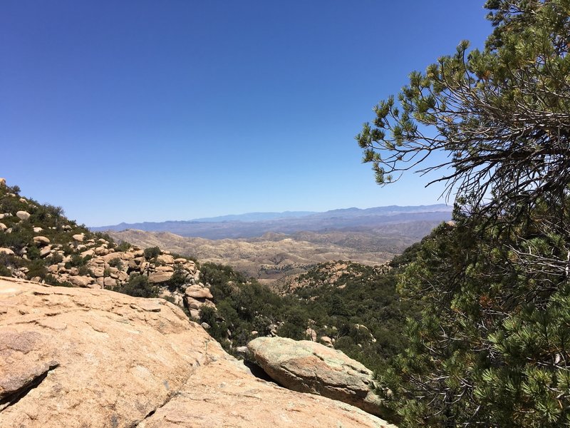 View looking east across Happy Valley with Galiuro Mountains and Pinaleno Mountains in the distance.