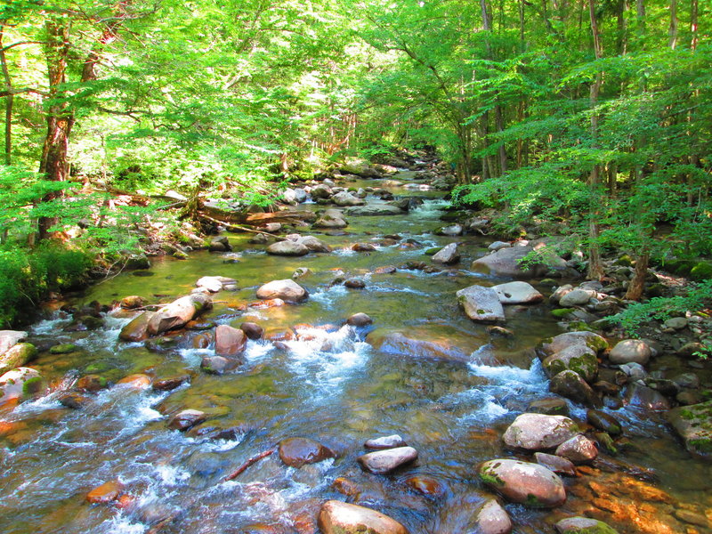 Little Pigeon River.