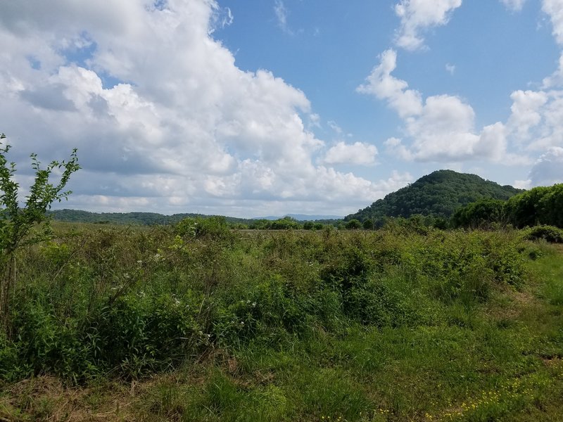 Southern view from just south of Wayne's Pond