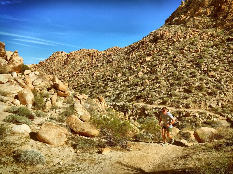 Starting the climb through Boy Scout Trail.