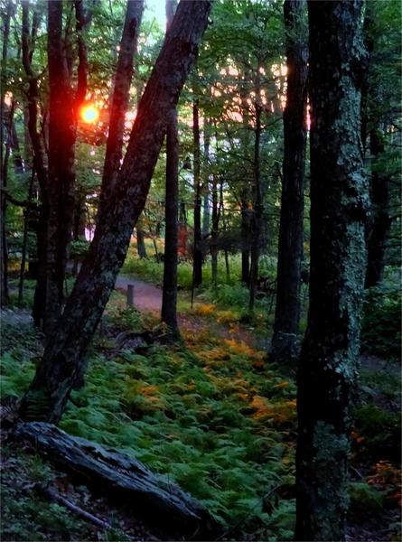 The Passamaquoddy Trail leaves right from the Skyland Resort backyard.