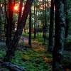 The Passamaquoddy Trail leaves right from the Skyland Resort backyard.