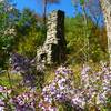 Remnant of an old building at Rapidan Camp. with permission from rootboy