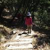 Bootjack Trail stairs