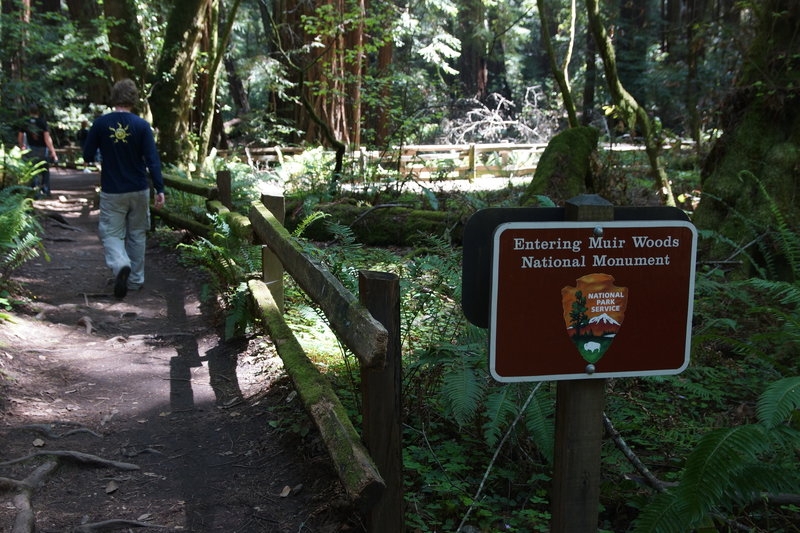 Entering Muir Woods from the Bootjack Trail