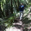 Along a bench on the Troop 80 Trail