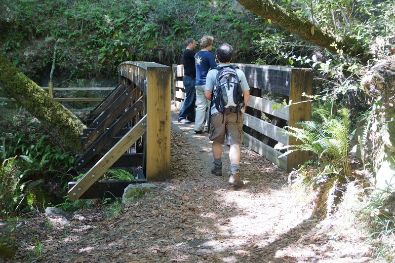 Crossing Spike Buck Creek on the Troop 80 Trail