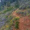 Heading Up Bolt Mountain