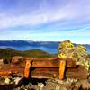 Bench with a view.