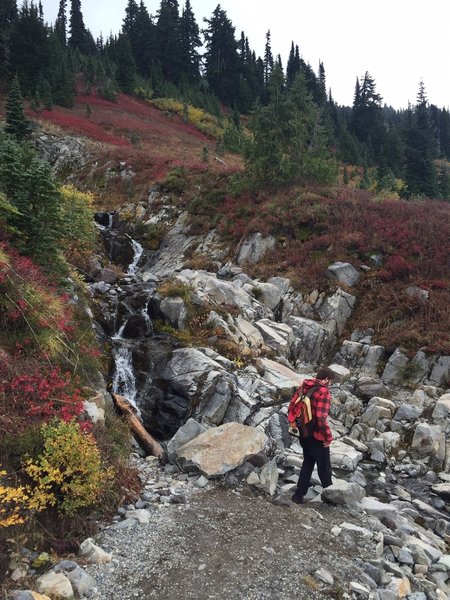 November on Mazama Ridge.