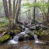 Small cascade in a picturesque setting along the Dark Hollow Falls Trail.