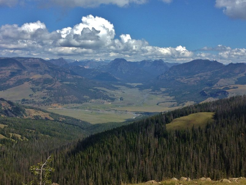 Overlooking the confluence of Soda Butte Creek and the Lamar River from the Specimen Ridge Trail.