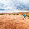 Slickrock trails with views of the La Sals.