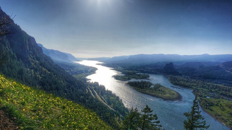Westward facing view of the Columbia River from the Munra Point Trail (Oregon on the left, Washington on the right).