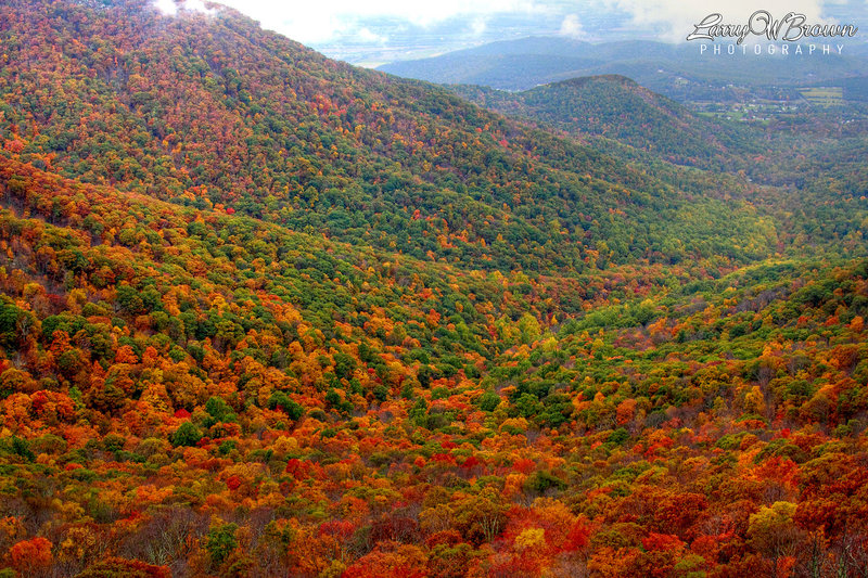 Autumn view from the cliff near Crescent Rock Overlook.