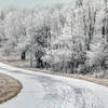 Rime Ice along the Rapidan Road.