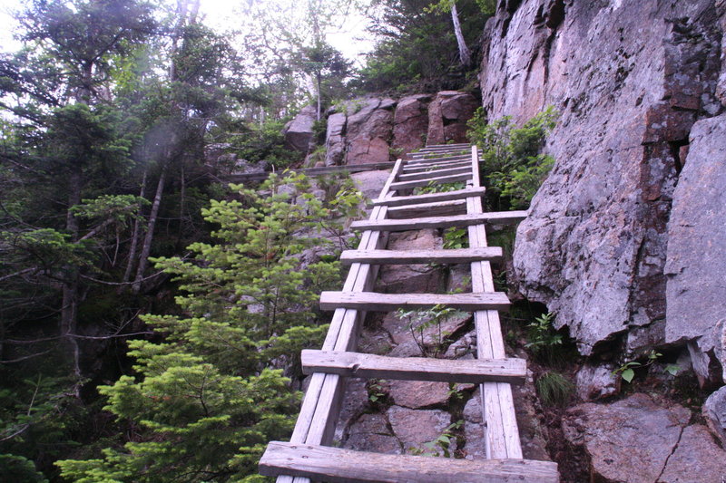 Climbing up Cannon.