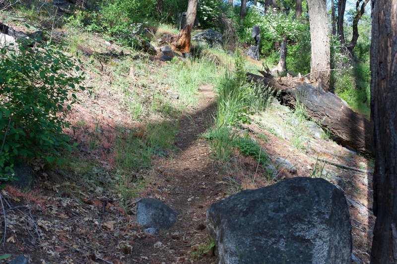 The trail is narrow and rock strewn.