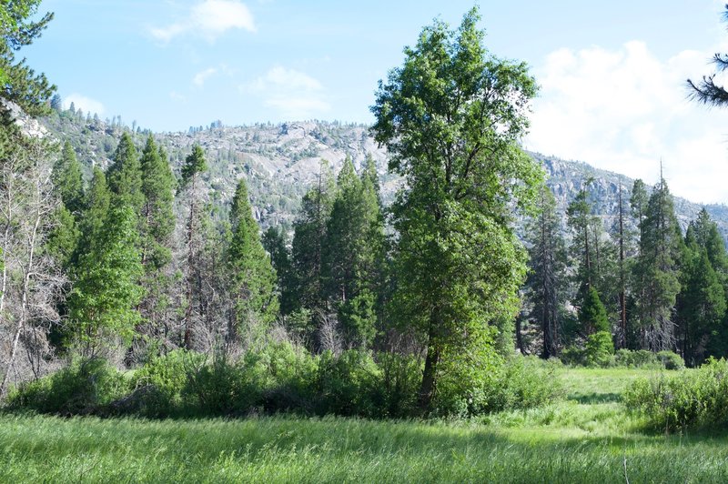 The trail levels off as it passes through the meadow in Poopenaut Valley.