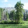 The trail levels off as it passes through the meadow in Poopenaut Valley.