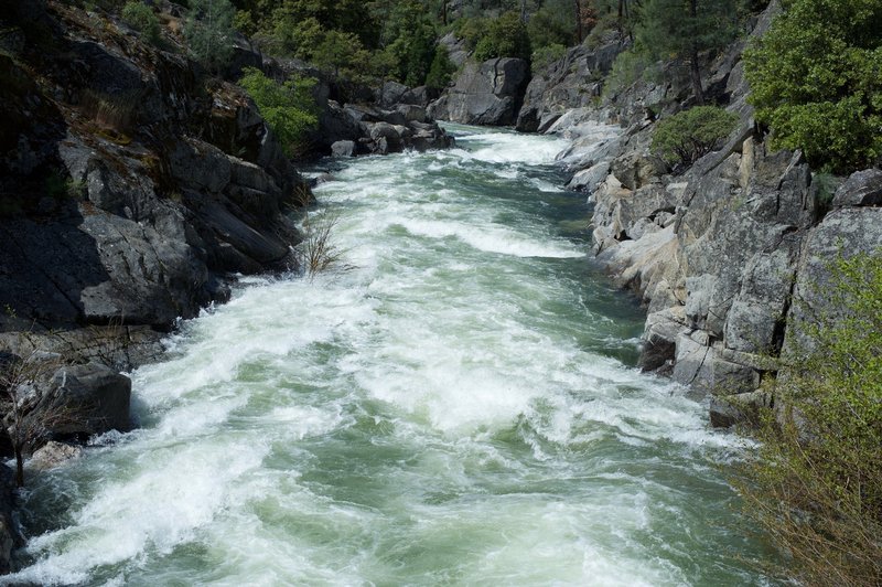 During a water release in the spring, the Tuolumne River roars downstream.