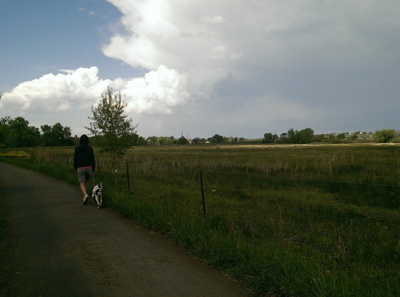 Lucky dogs and their owners out for a stroll.