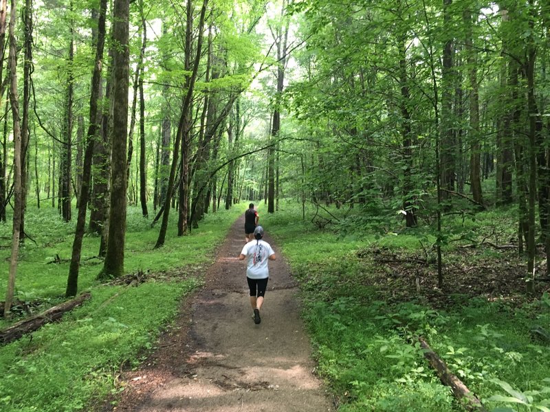 The flat wide path makes for an enjoyable run.