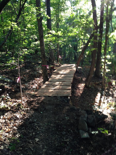 Split-cedar log bridge on the Dummy Line Trail. There are several of these on this trail.