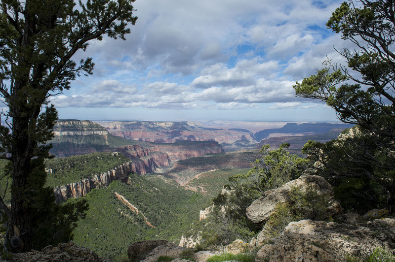 18 miles of this along the Rainbow Rim Trail!