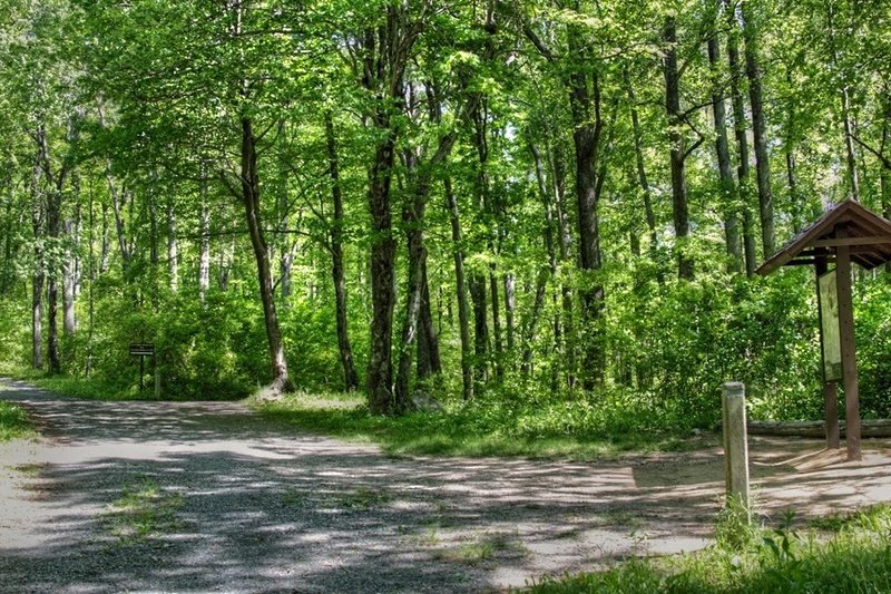 This is the "3 fire roads" junction - Old Rag, Weakley Hollow and Berry Hollow.